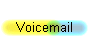  Voicemail 
